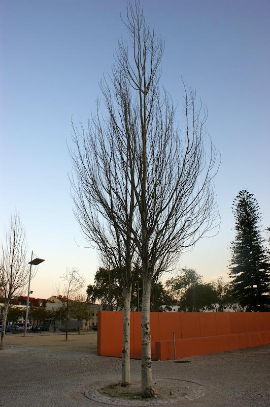 Praça José Afonso, Setúbal