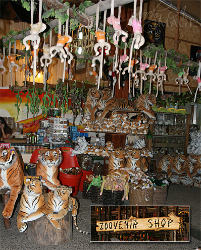 zoobic safari souvenir shop