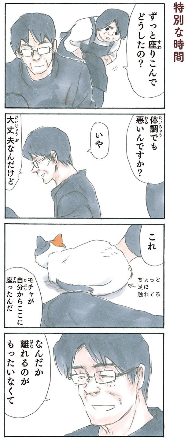 もったいなくて離れられない 猫が自分から寄り添ってくれたことがうれしくて 拾い猫のモチャ5 Trill トリル