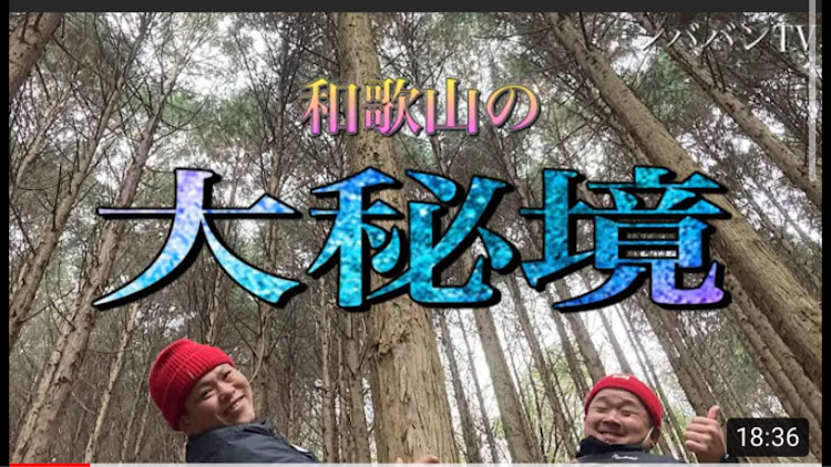 ヴェルファイアの桜・娘とデート・ヴェルファイア30前期に関するカスタム事例の投稿画像4枚目