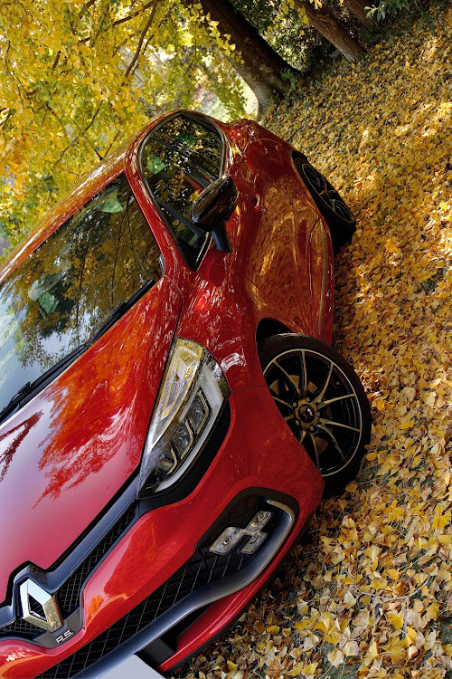 ルーテシアのルノー祭り・繋がろうルーテシアオーナー・イチョウの木の下で・discover＿ct・歴代のホイール見てみたいに関するカスタム事例の投稿画像3枚目