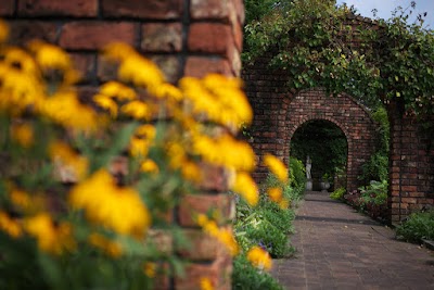 デンパーク 秘密の花園 その４