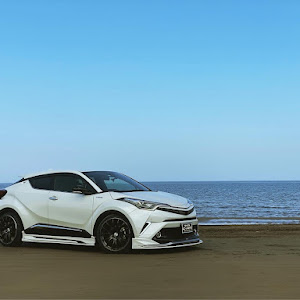 C-HR ZYX10