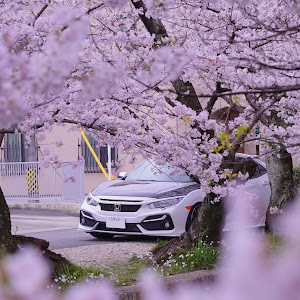 シビック FK7