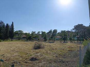 terrain à Puget-sur-Argens (83)