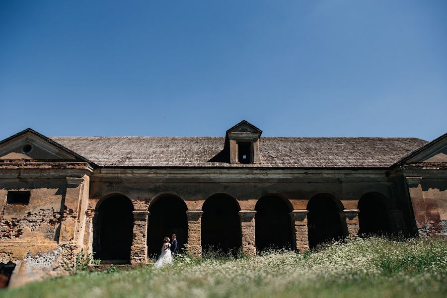 Свадебный фотограф Алина Горохова (adalina). Фотография от 25 июня 2018