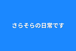 さらそらの日常です