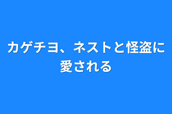 カゲチヨ、ネストと怪盗に愛される