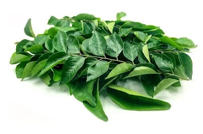 dite food curry leaves for weight loss in Hindi