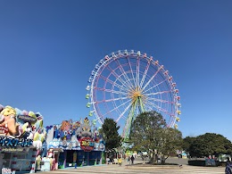 国営ひたち海浜公園