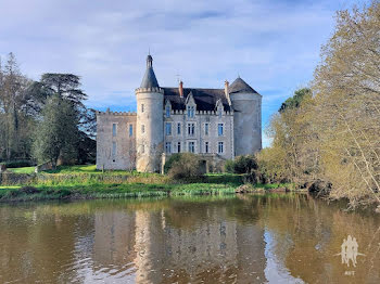 château à Saint-Hilaire-sur-Benaize (36)