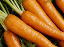 Carrots