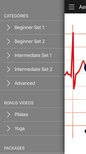 Aerobics Step Exercises 1.0 screenshots 2