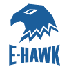 E-Hawk icon