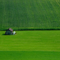 Piccola nel verde di 