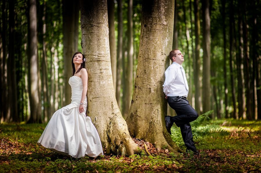 Fotógrafo de bodas Tomasz Schab (tomaszschab). Foto del 14 de enero 2015