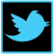 Item logo image for Twitter Theme