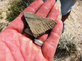 Pottery fragment in Inner Pasture Anza Borrego