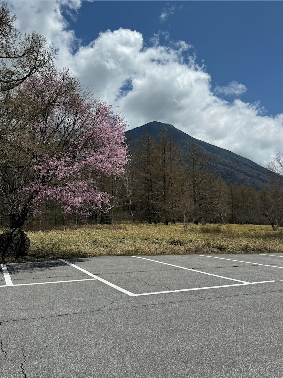 の投稿画像13枚目