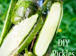 Homemade Refrigerator Dill Pickles (Makes 4 Quarts) was pinched from <a href="http://thenotsosupermama.com/2012/08/02/amazing-homemade-pickles-in-3-days/" target="_blank">thenotsosupermama.com.</a>