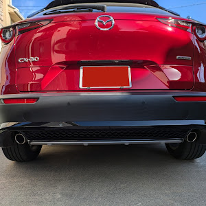 CX-30 DMEP