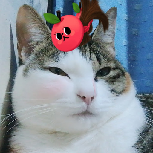 パー
