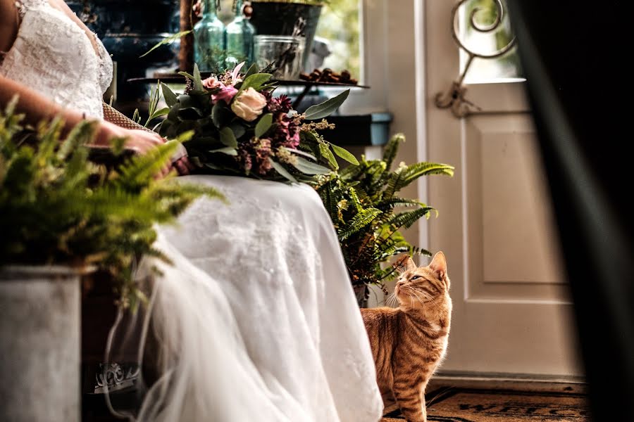 Photographe de mariage Mitzy Geluk (mitzygeluk). Photo du 24 octobre 2020