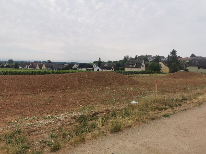 Vente terrain  459 m² à Beblenheim (68980), 133 000 €