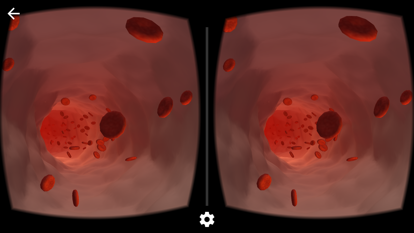 Viewport VR Medical Screen 3
