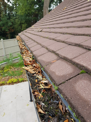 Moss and leaves blocking up the gutters