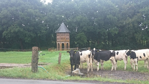 Duiventoren