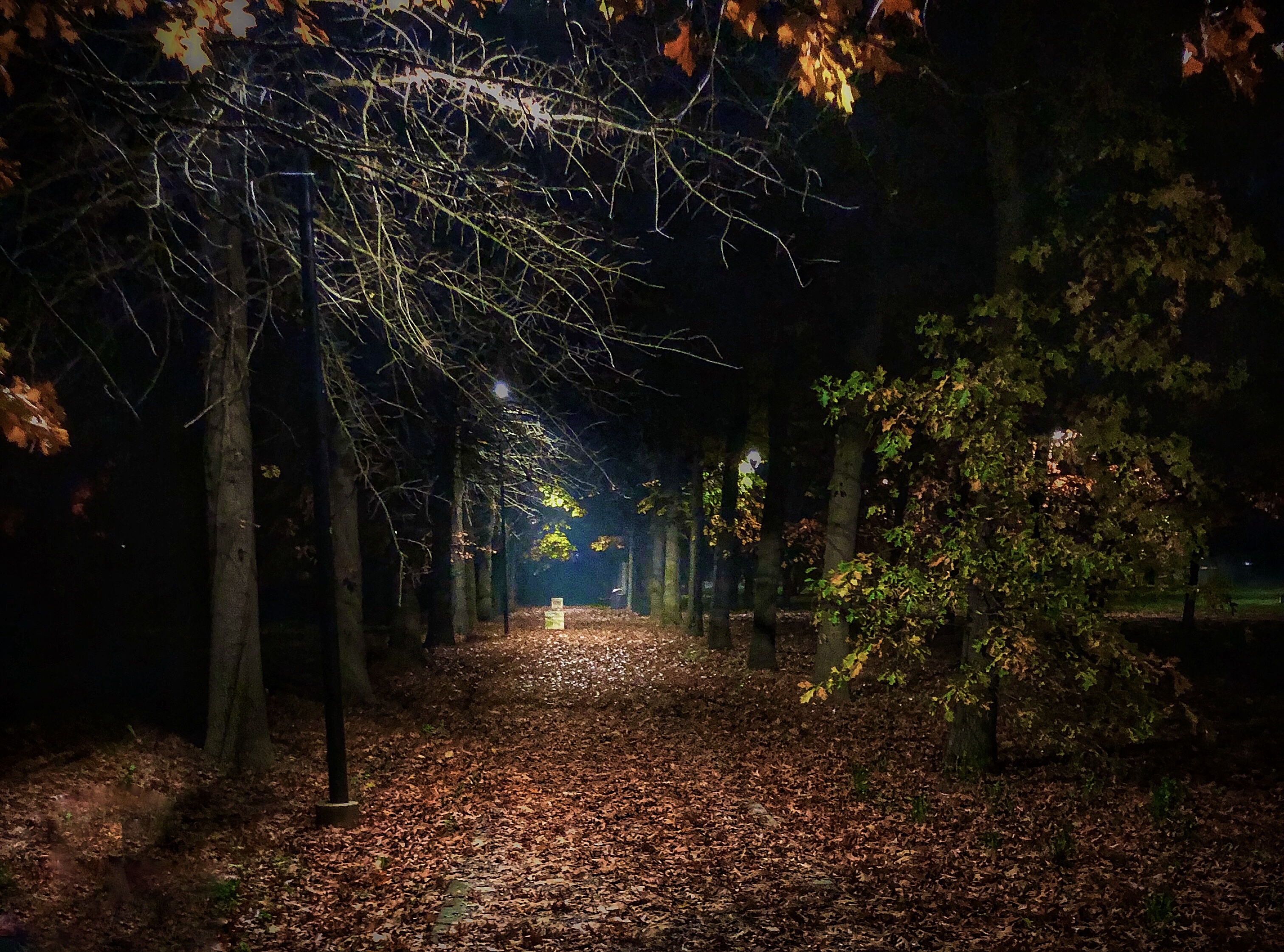 Passeggiata serale nel parco di Marilu2019