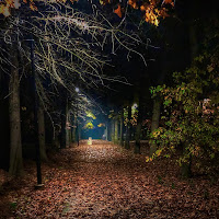 Passeggiata serale nel parco di 