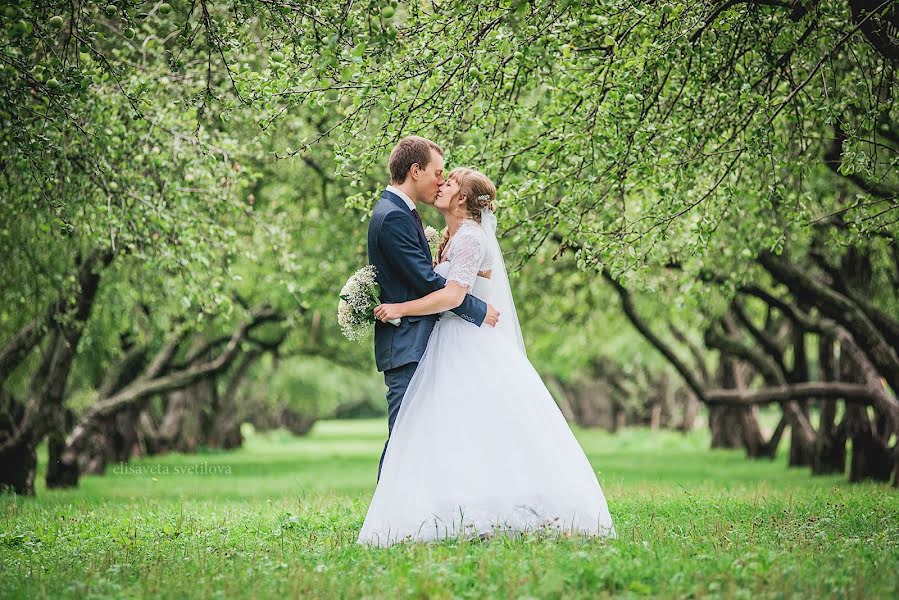 Wedding photographer Elizaveta Svetilova (steiren). Photo of 15 August 2016