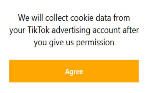 Tiktok Ads Balance