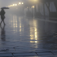 luci e riflessi nella nebbia di 