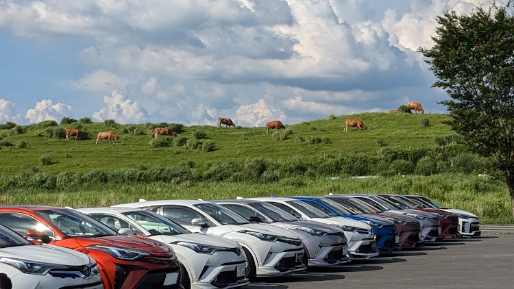 C-HRのオフ会・猛暑日・暑い、、暑いぞおおお！！・C-HR・7周年に関するカスタム事例の投稿画像2枚目