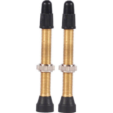 WTB Brass TCS Valve Pair