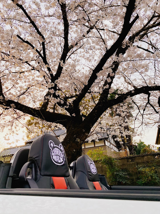 コペンのピックアップ一度でも載ってみたい・LBWK・マスタングクーペ・桜と愛車・LB★WORKSに関するカスタム事例の投稿画像14枚目