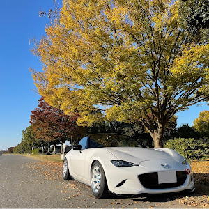 ロードスター ND5RC
