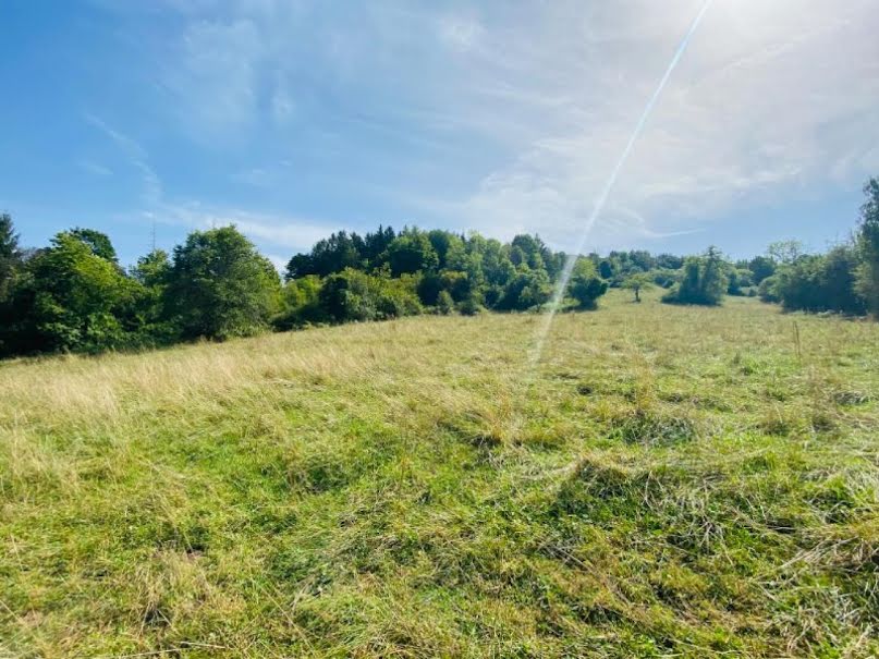 Vente terrain  4480 m² à Salins-les-Bains (39110), 13 000 €