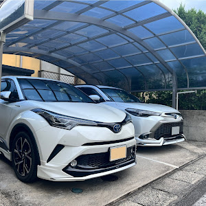 C-HR ZYX10