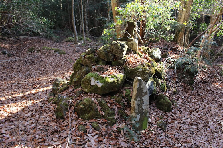 白骨死体に謎の遺品がゴロゴロ 樹海取材のプロが語る 猛暑でも冷や汗の出る 富士山 青木ヶ原 散歩案内 3 ページ 世の中を見渡すニュースサイト New S Vision ニューズヴィジョン