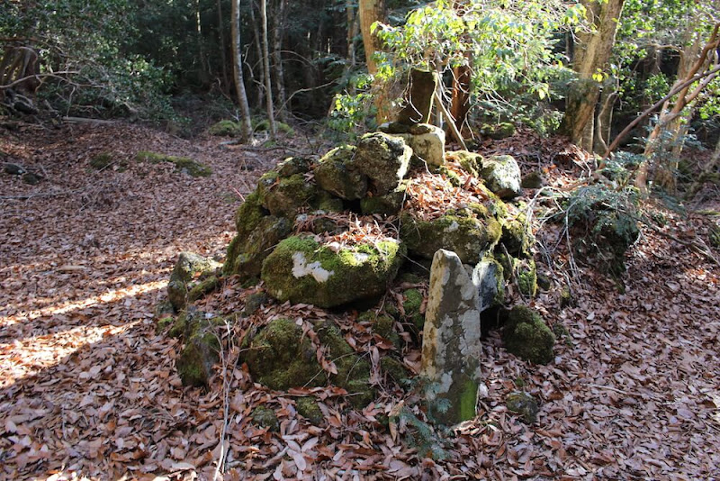 白骨死体に謎の遺品がゴロゴロ 樹海取材のプロが語る 猛暑でも冷や汗の出る 富士山 青木ヶ原 散歩案内 村田らむ Starthome