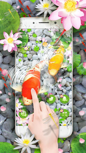 Lively Koi Fish 3D Theme