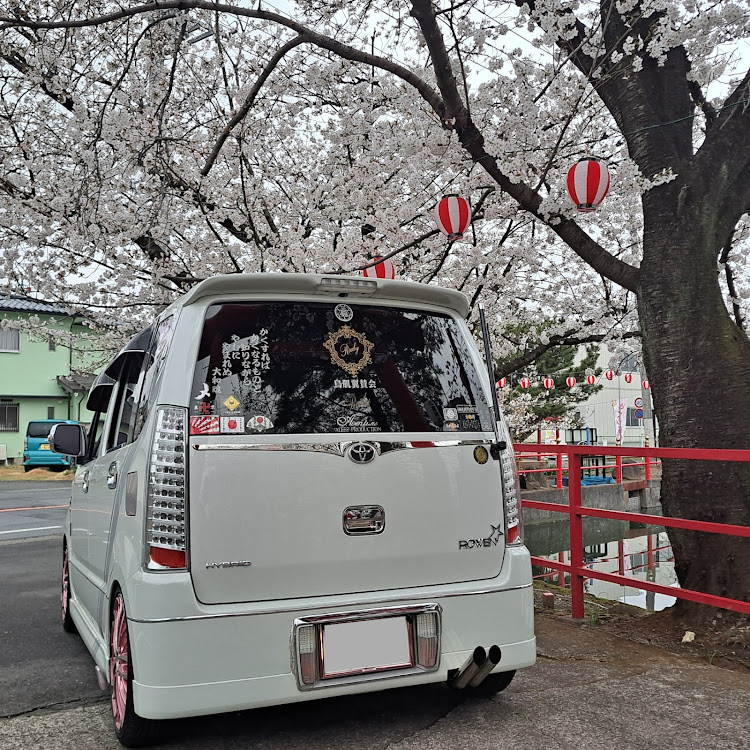 の投稿画像19枚目