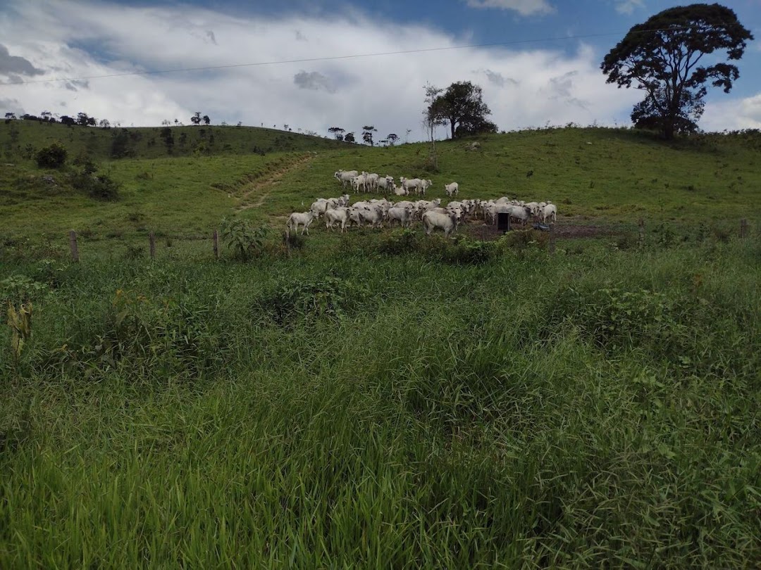 Fazendas à venda Pouso Alto