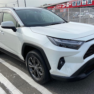 RAV4 AXAH52