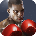 Icon Punch Boxing 3D