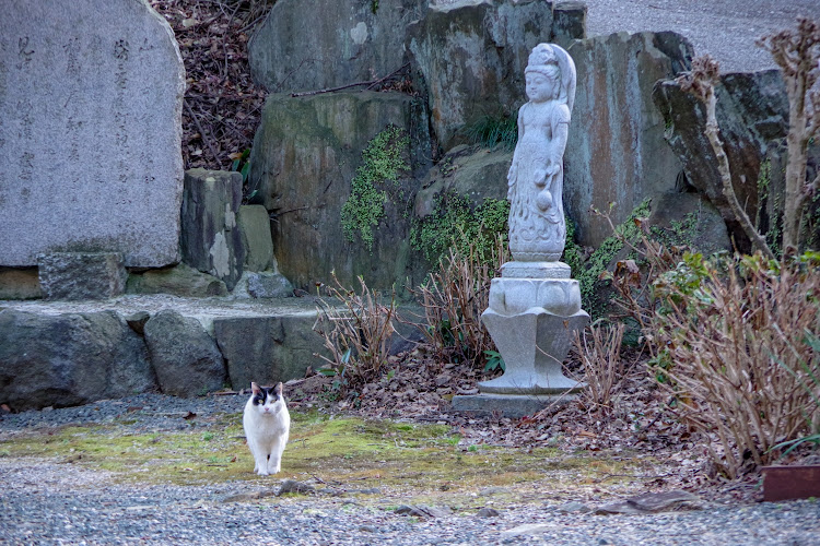 の投稿画像2枚目